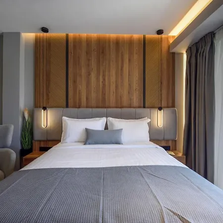 Aristotelian Virtues - Agapi *