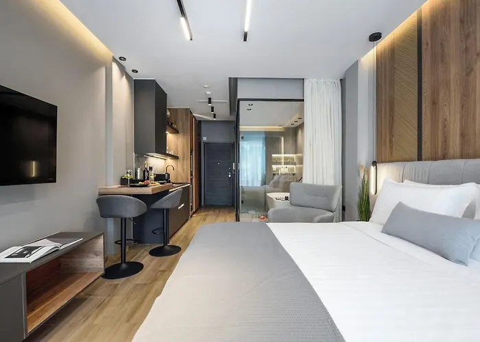 Aristotelian Virtues - Agapi Appartement *